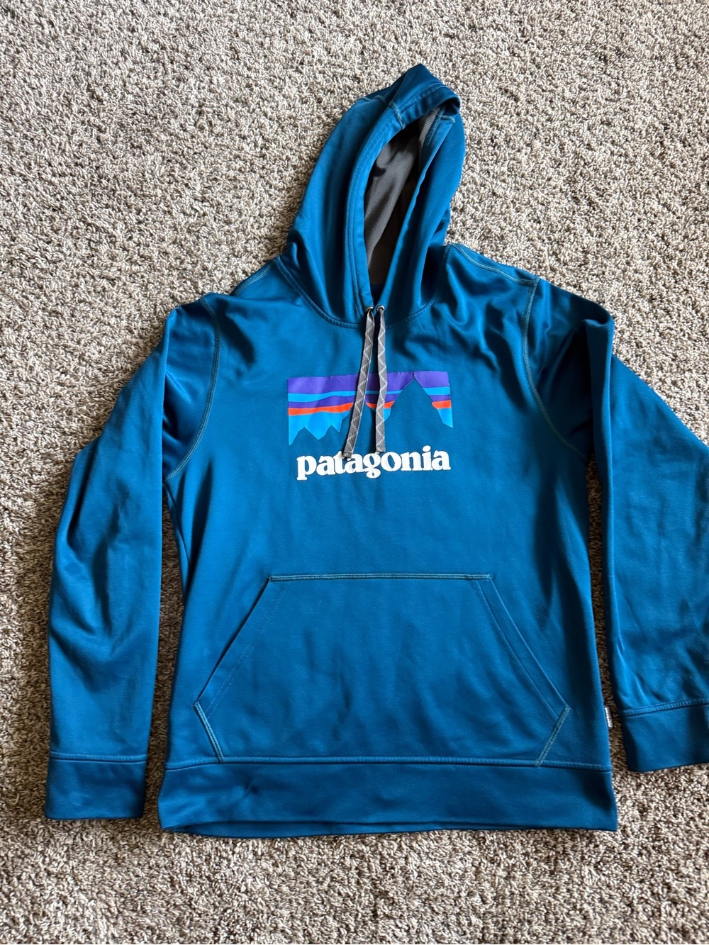 Patagonia Men’s Blue Logo Hoodie Sweater-medium